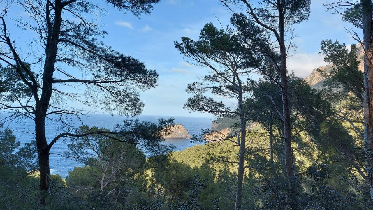 Villa Ideal Sóller Eksteriør billede